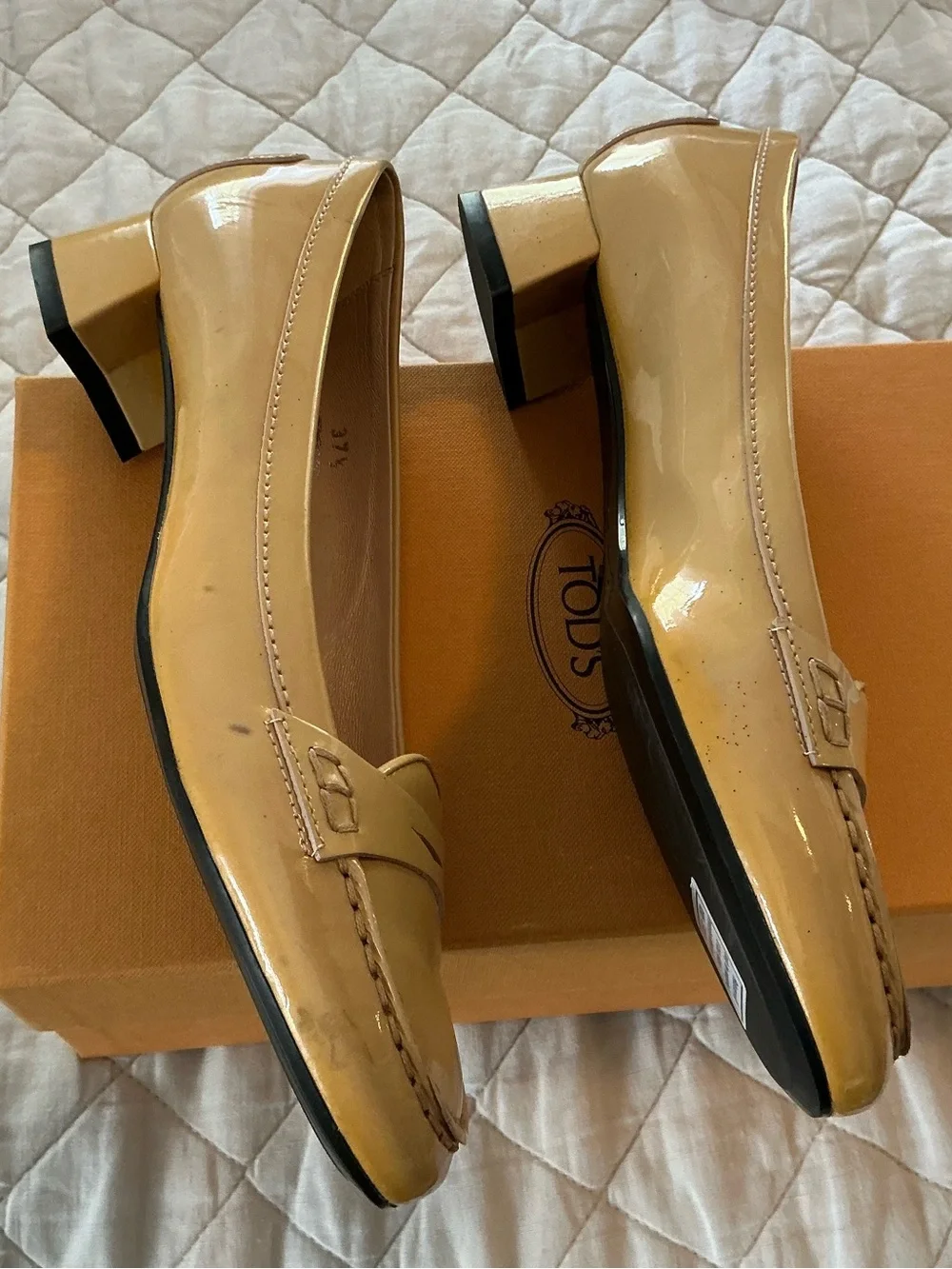 Tods elegant tod